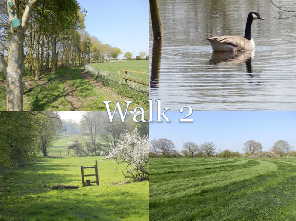 Walk 2.pdf