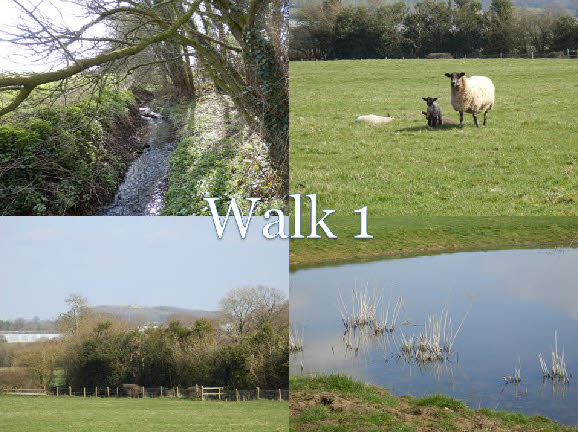 Walk 1.pdf